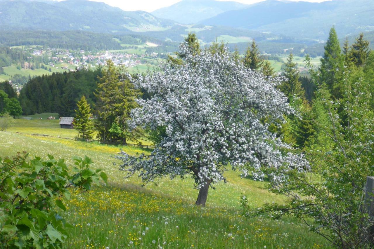 Fingerlos Mauterndorf  Buitenkant foto